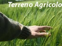 Terreno agricolo in commerciale in 