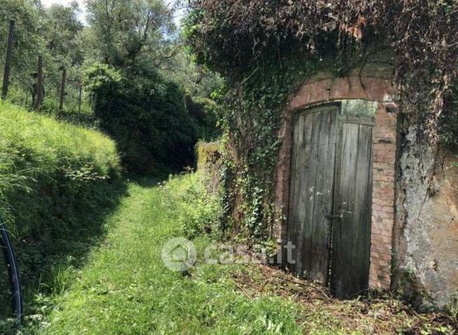 Terreno agricolo in commerciale in Via Madonna della Neve