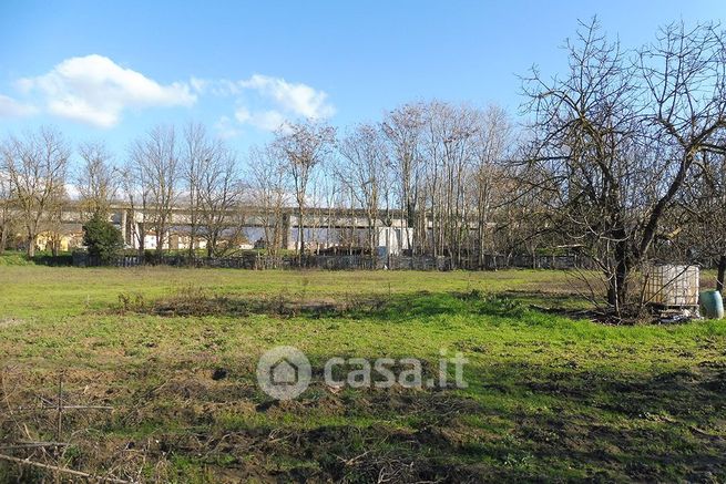 Terreno agricolo in commerciale in Strada Provinciale Lungo Arno