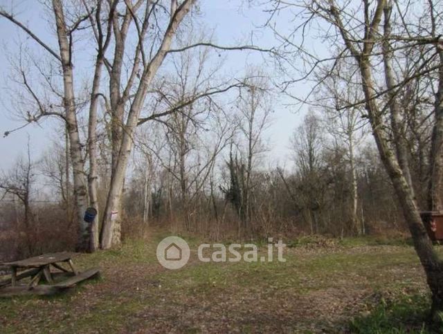 Terreno agricolo in commerciale in Località Scagni