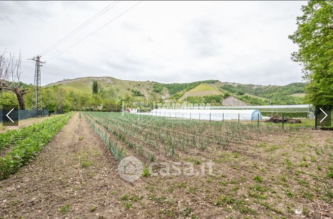 Terreno agricolo in commerciale in 