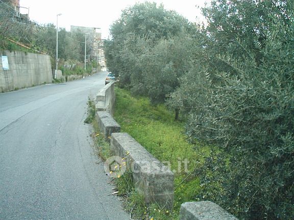 Terreno agricolo in commerciale in