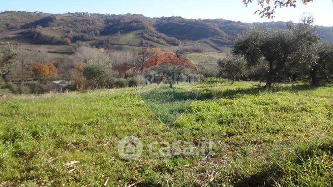 Terreno agricolo in commerciale in Via Papa Giovanni XXIII