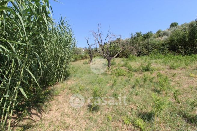 Terreno agricolo in commerciale in 