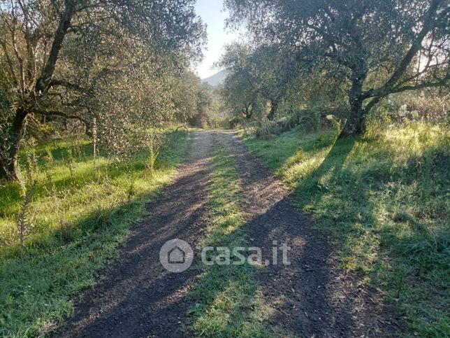 Terreno agricolo in commerciale in SANTA MARIA