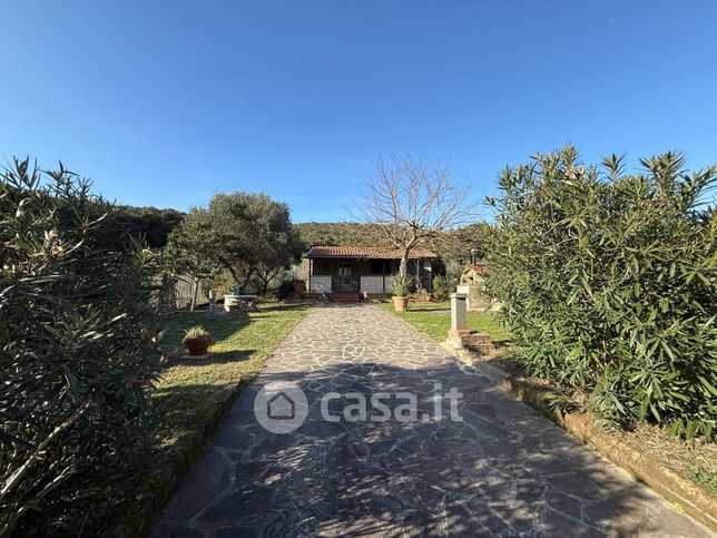 Terreno agricolo in commerciale in LocalitÃ  Baratti 1