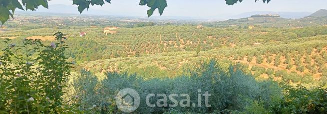 Terreno agricolo in commerciale in Via Pozzuolo