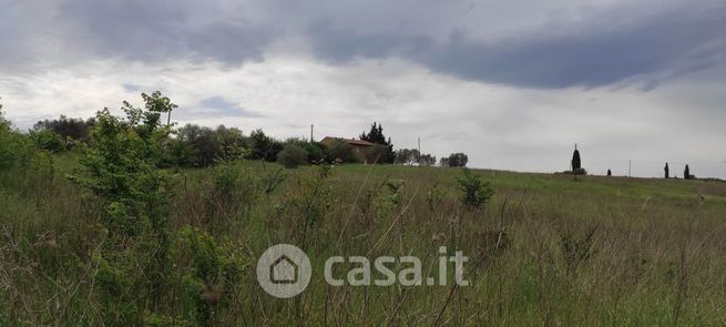 Terreno agricolo in commerciale in 