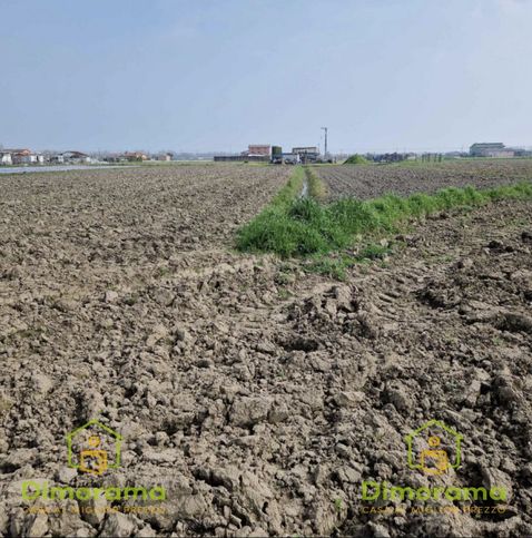 Terreno agricolo in commerciale in Strada Margherita