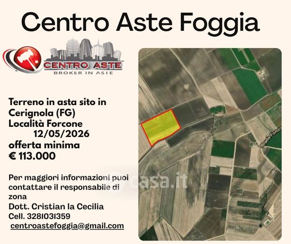 Terreno agricolo in commerciale in Strada Provinciale 95