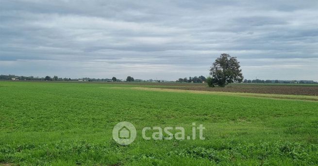 Terreno agricolo in commerciale in 