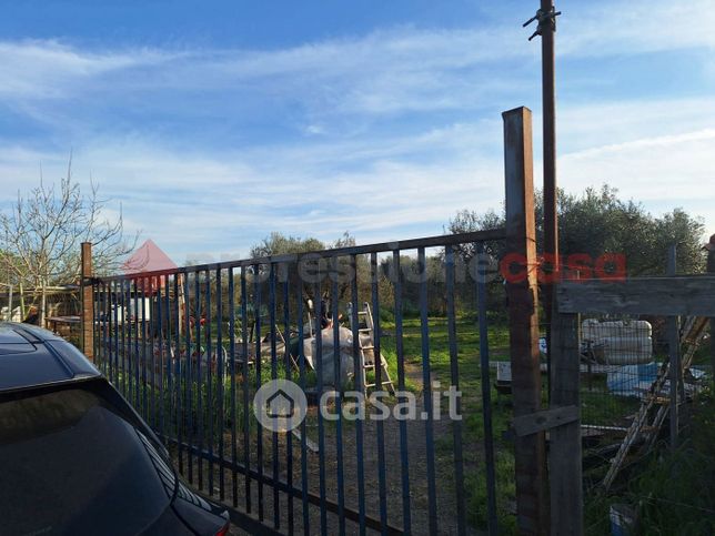 Terreno agricolo in commerciale in Strada Rugginosa Vecchia