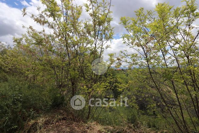 Terreno agricolo in commerciale in Strada Elice Vecchia