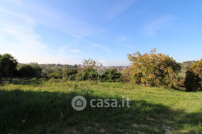 Terreno agricolo in commerciale in Via Torre dei Tucci