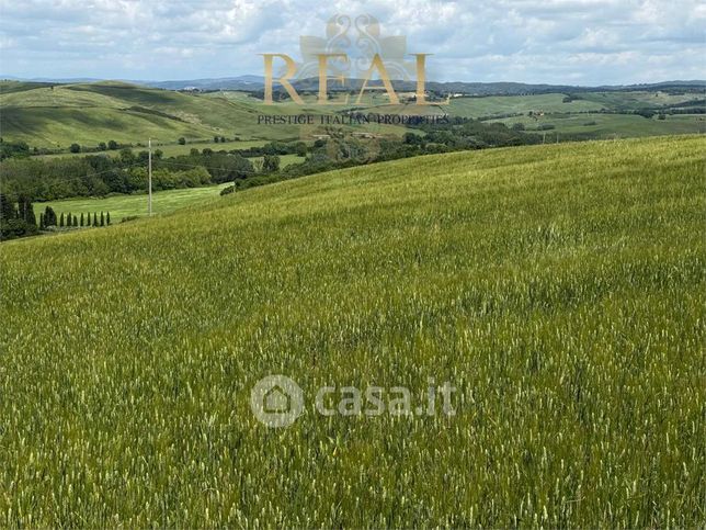 Negozio/locale commerciale in commerciale in Strada Provinciale del Brunello