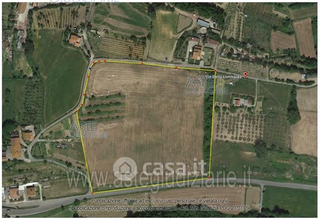 Terreno agricolo in commerciale in Strada Provinciale Palaiese