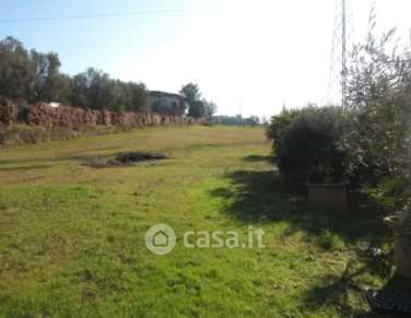 Terreno agricolo in commerciale in Via di Strognano
