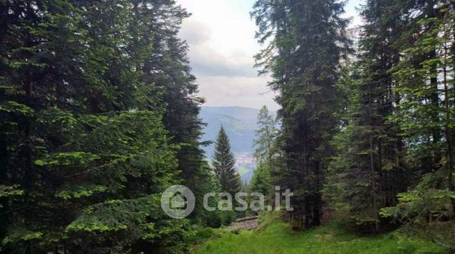 Terreno agricolo in commerciale in Frazione di Padola