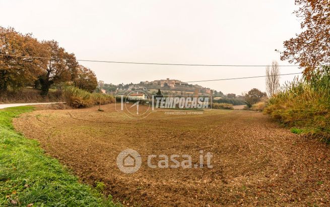 Terreno agricolo in commerciale in Contrada Mornano