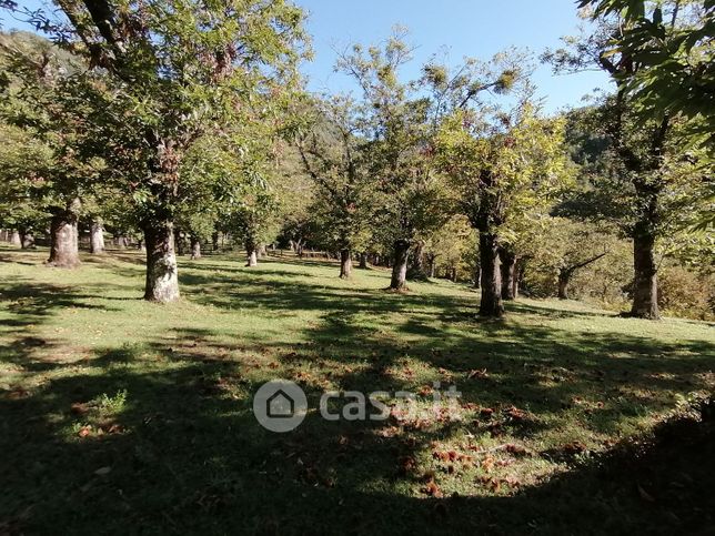 Terreno agricolo in commerciale in SP25c 18
