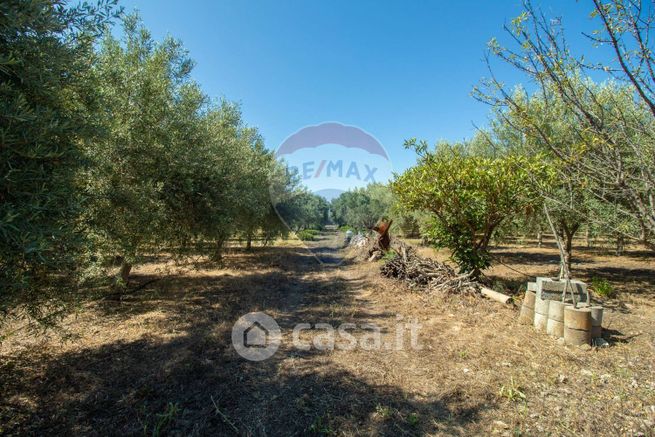 Terreno agricolo in commerciale in Strada Provinciale 77