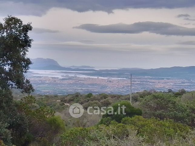 Terreno agricolo in commerciale in 