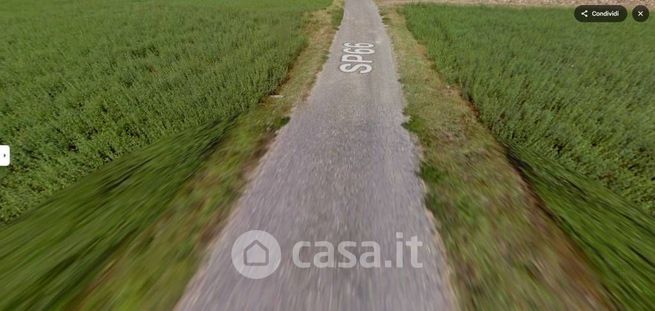 Terreno agricolo in commerciale in Strada Provinciale 66