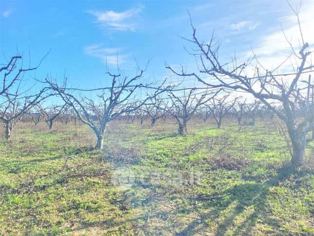 Terreno agricolo in commerciale in Contrada Quarto