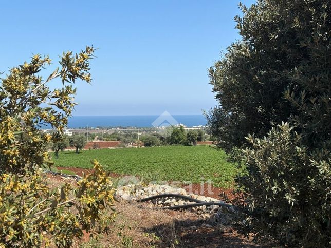 Terreno agricolo in commerciale in Contrada Fusella 1