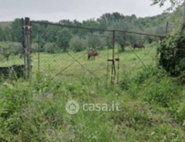 Terreno edificabile in residenziale in Strada Provinciale 220