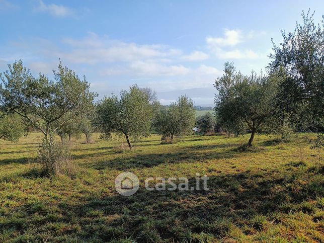 Terreno edificabile in residenziale in Vocabolo Calcinaro