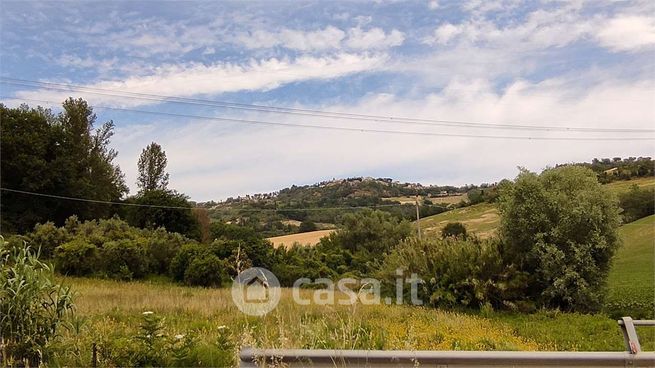 Terreno agricolo in commerciale in Frazione Montesicuro