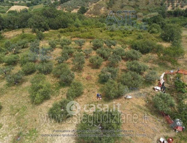 Terreno agricolo in commerciale in Via Colli Albani