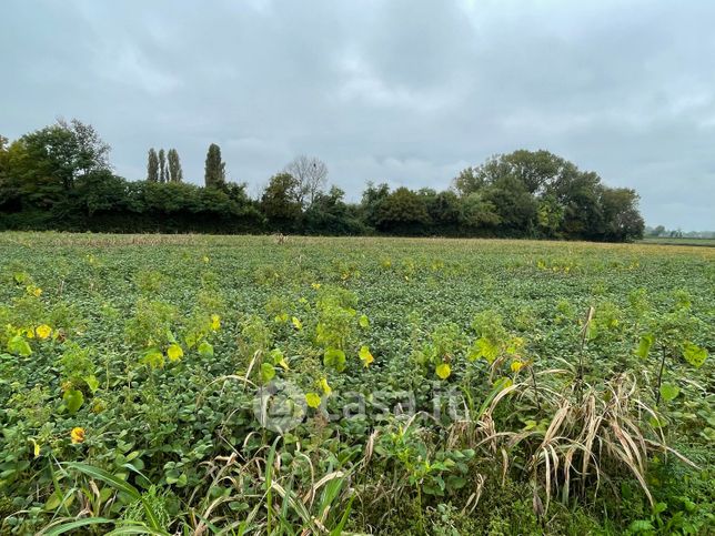 Terreno agricolo in commerciale in Via San Michele