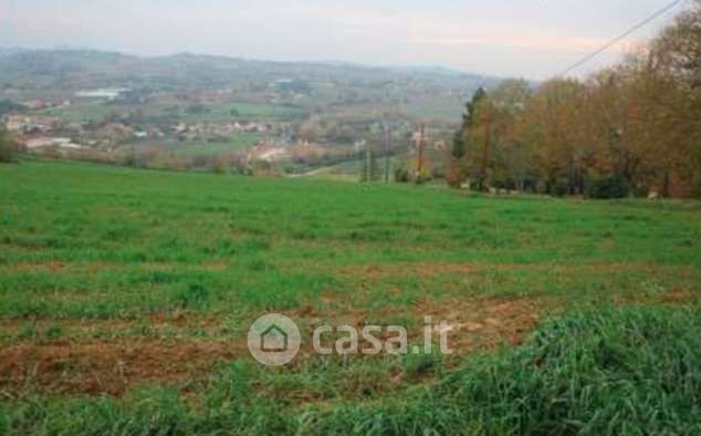 Terreno agricolo in commerciale in Via delle Caminate