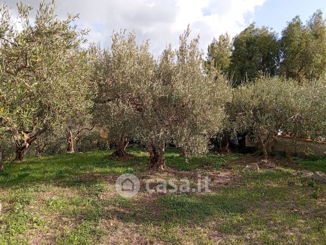 Terreno agricolo in commerciale in Via M 31 21