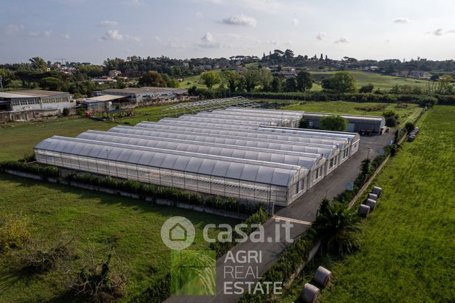 Terreno agricolo in commerciale in Via di Casal Selce