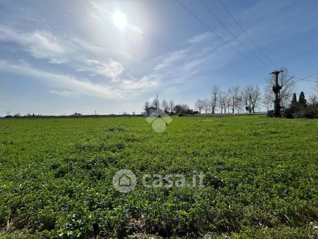 Terreno agricolo in commerciale in Via Canalazzo 179