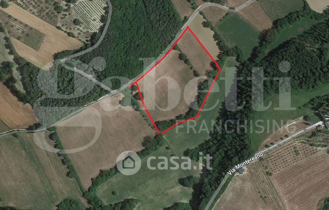 Terreno agricolo in commerciale in Strada Senza Nome
