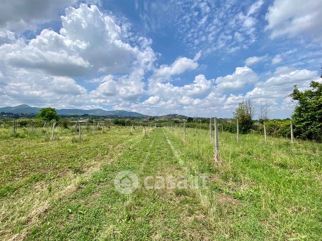 Terreno agricolo in commerciale in Via dei Quarticcioli