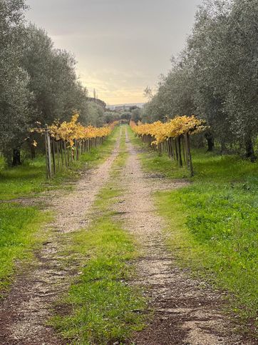 Terreno agricolo in commerciale in Via Piastrarella