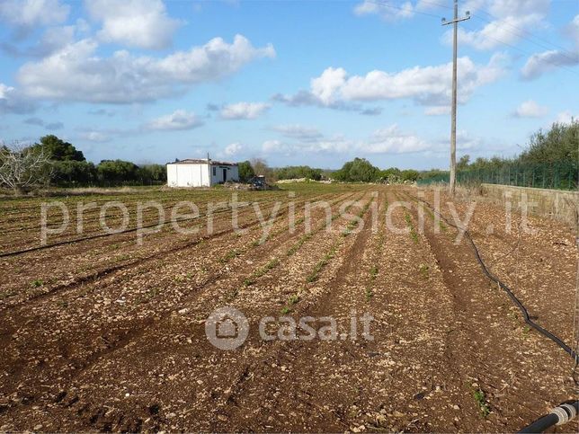 Terreno agricolo in commerciale in 