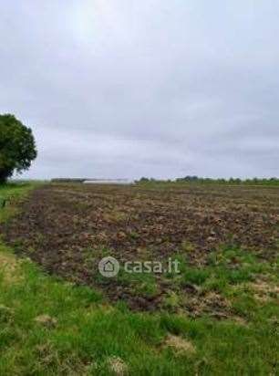 Terreno agricolo in commerciale in Via Alberello