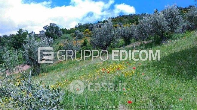 Terreno agricolo in commerciale in Strada Senza Nome