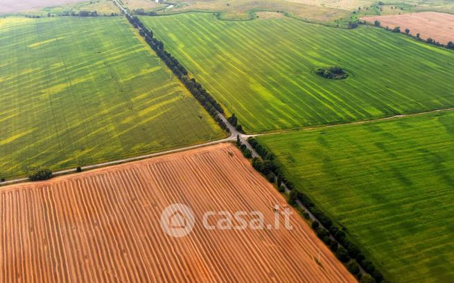 Terreno agricolo in commerciale in Via Zinzalle