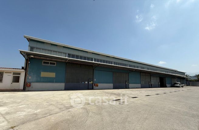 Capannone in commerciale in SS7bi 304