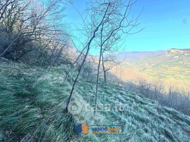 Terreno agricolo in commerciale in Via Bracciale