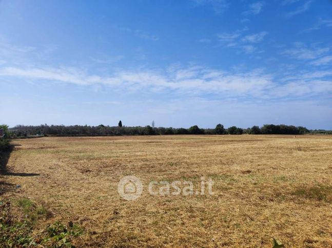 Terreno agricolo in commerciale in Via vecchia Melendugno