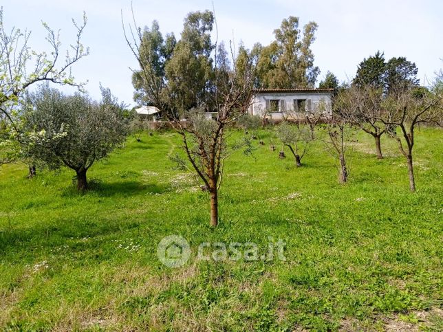 Terreno agricolo in commerciale in Via di Castel Campanile