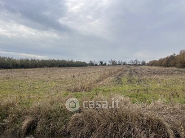 Terreno agricolo in commerciale in Piazza Angelo Pastrello